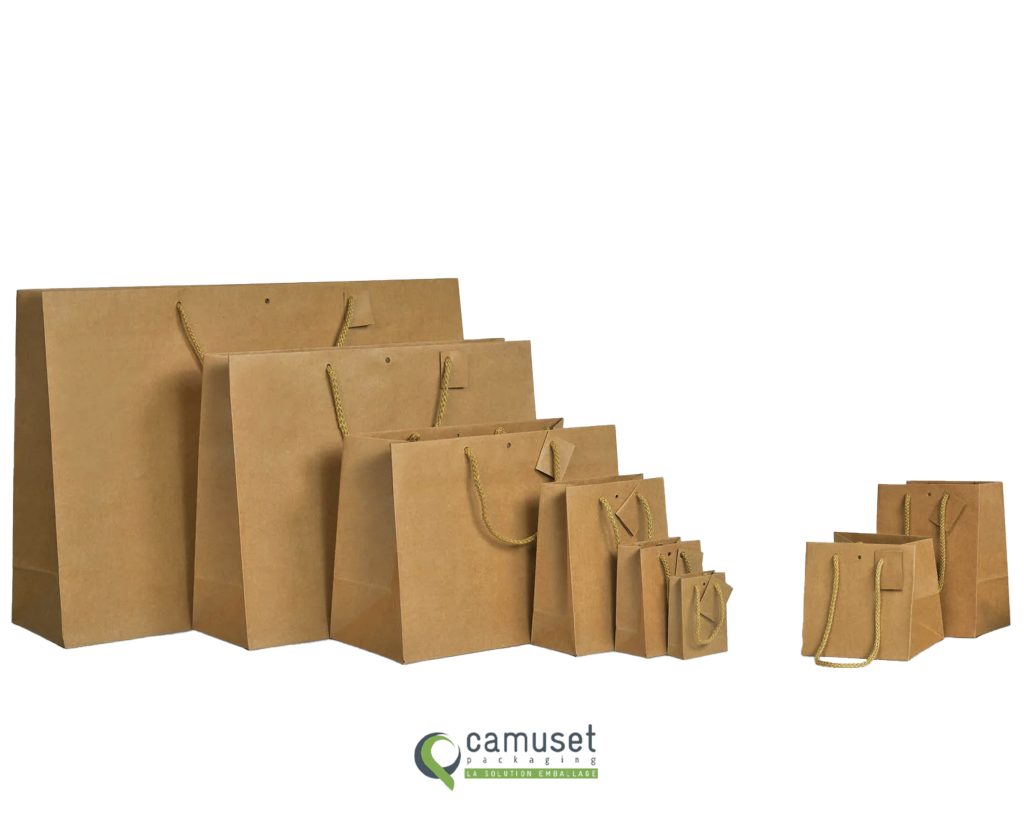 Sac kraft à poignées cordes